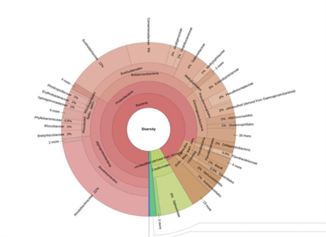 Techmart Công nghệ sinh học trực tuyến 2021: Phát hiện tác nhân gây bệnh trong môi trường nhờ công nghệ giải trình tự gene thế hệ mới
